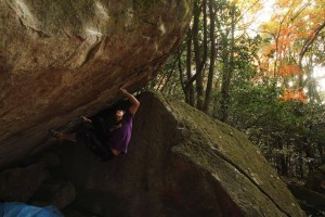 17965526_1262932007156509_977248963_n